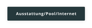 Ausstattung/Pool/Internet