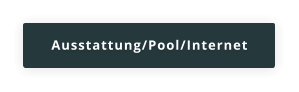 Ausstattung/Pool/Internet